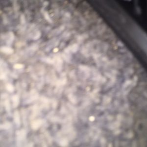 Meet your Posher, Jamarion